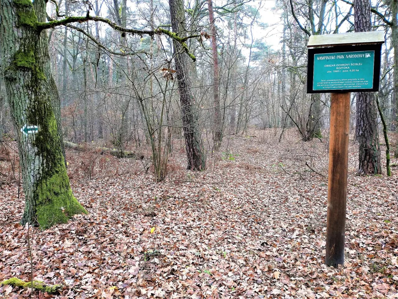 Kampinos National Park