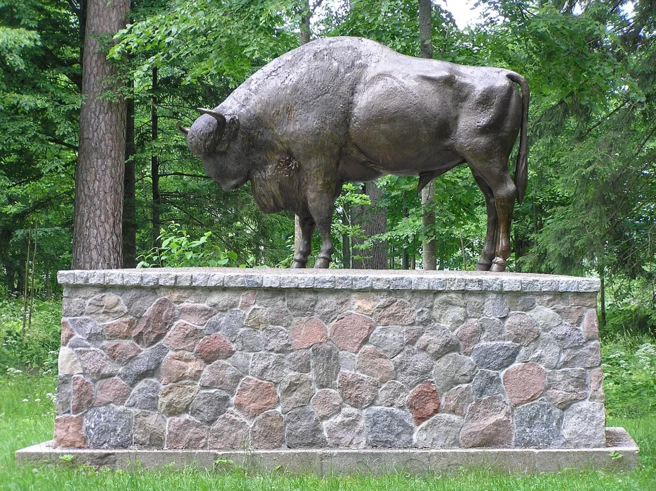 Białowieża Forest (Puszcza Białowieska)