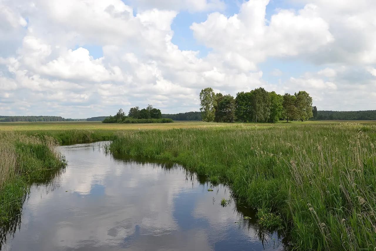 Biebrza National Park (Biebrzański Park Narodowy)