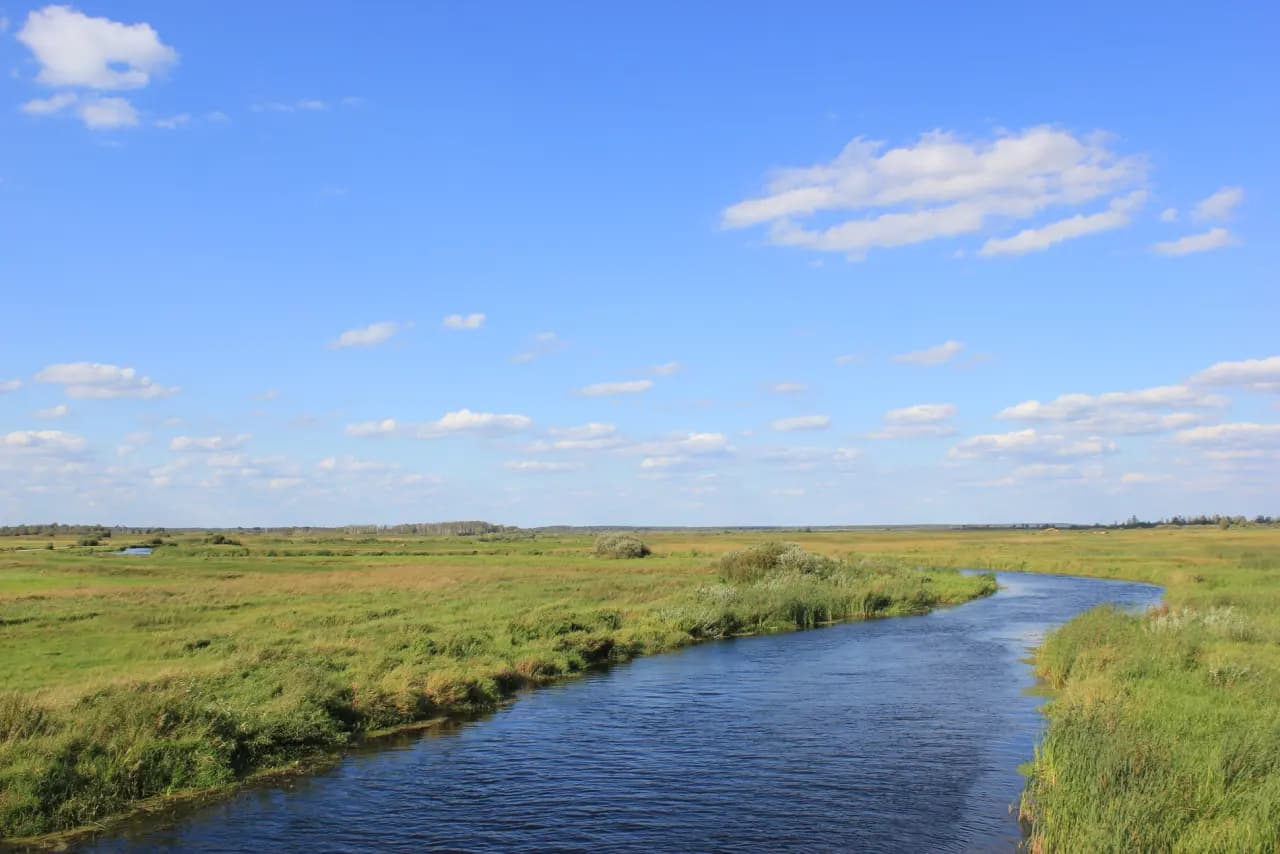 Biebrza National Park (Biebrzański Park Narodowy)